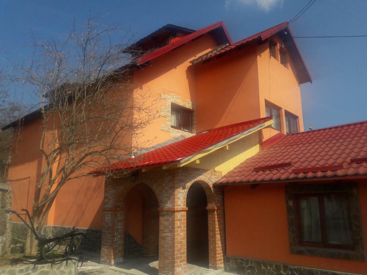 Hotel Casa DAOS Nucşoara Exterior foto