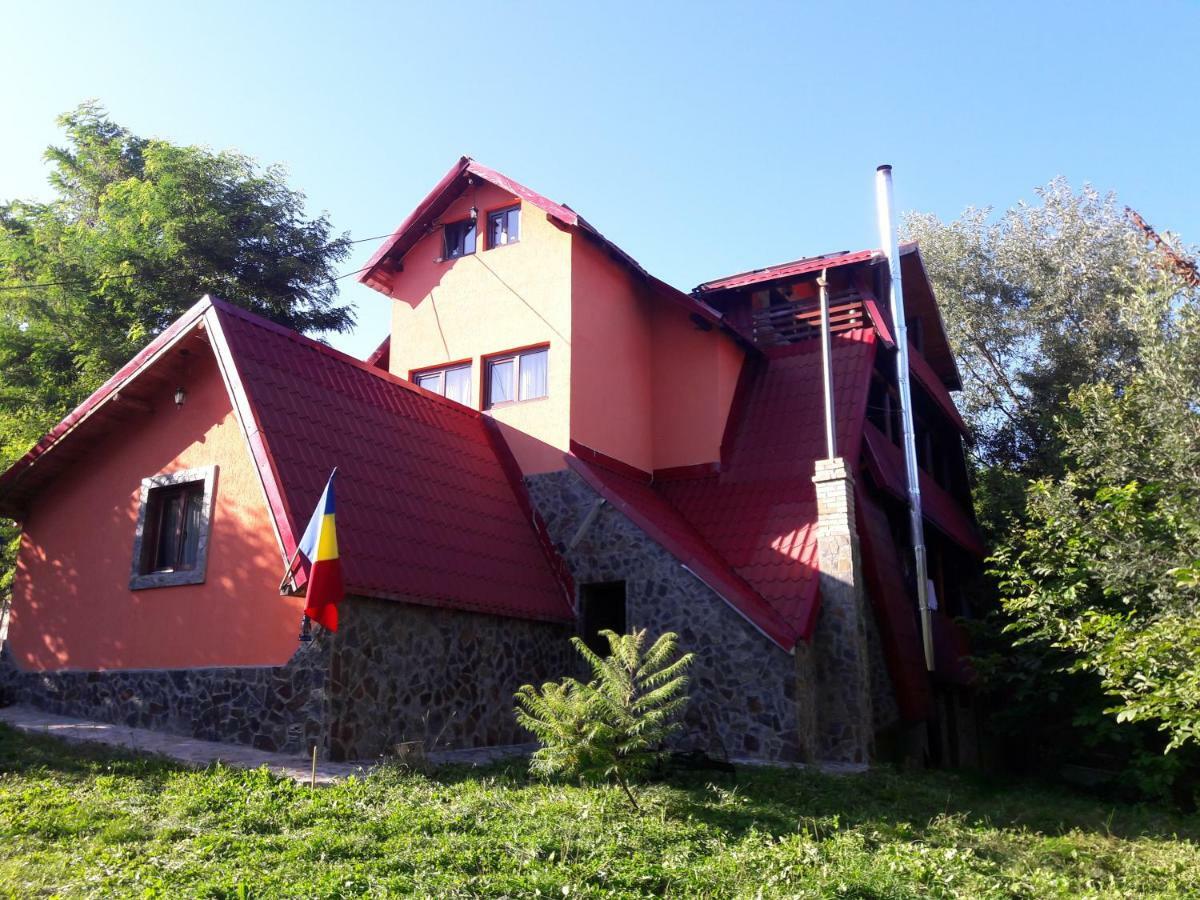 Hotel Casa DAOS Nucşoara Exterior foto